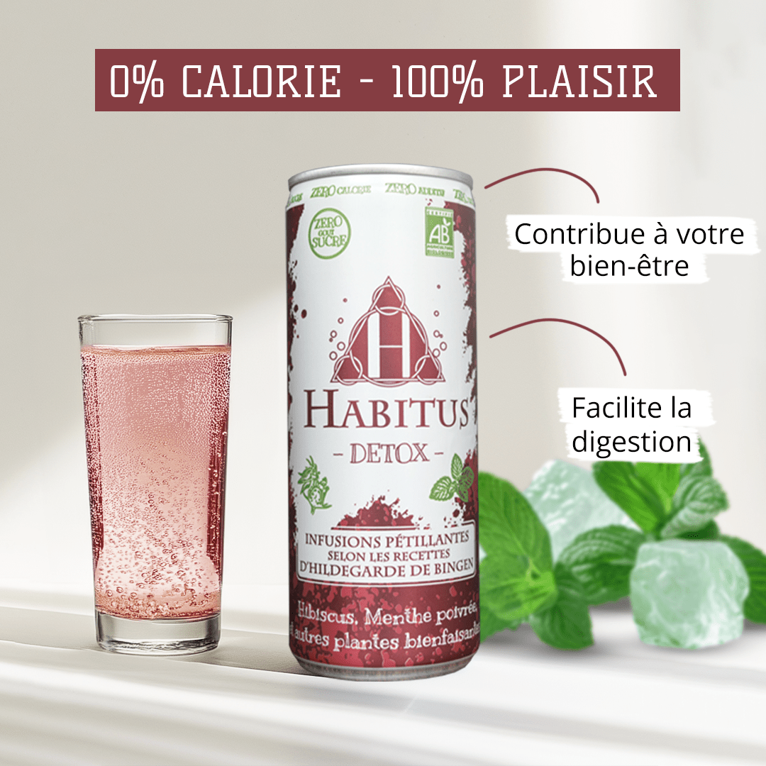 Detox - Hibiscus Menthe poivrée